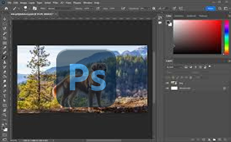 Ultimate Photoshop Training: From Beginner