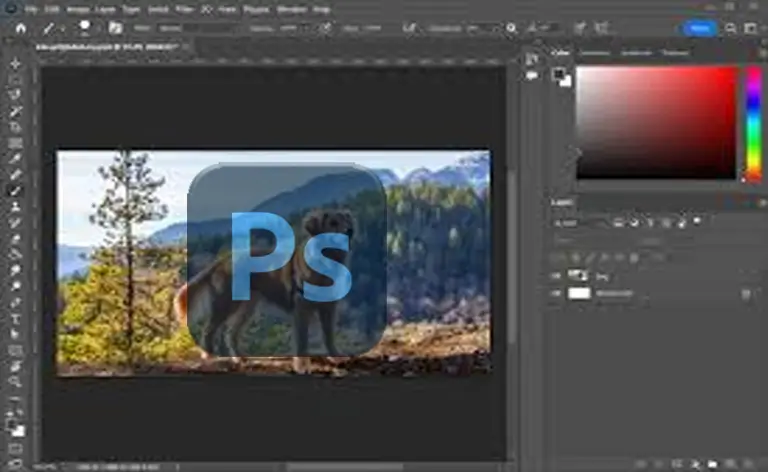 Ultimate Photoshop Training: From Beginner